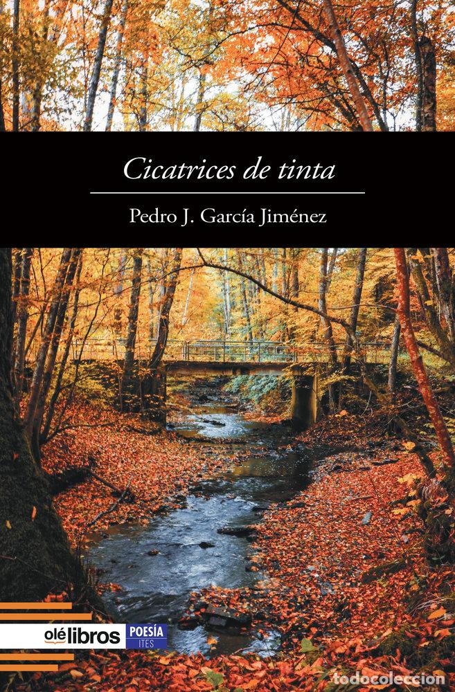 Libros: CICATRICES DE TINTA - GARCIA JIMENEZ, PEDRO J