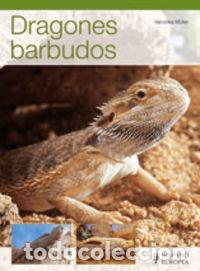 books: DRAGONES BARBUDOS - M&Uuml;LLER, VERONIKA