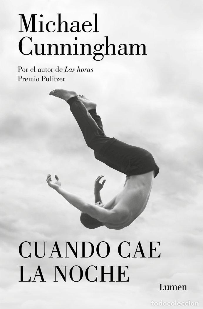 Libros: CUANDO CAE LA NOCHE - MICHAEL CUNNINGHAM