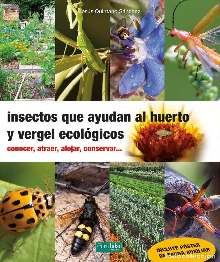 Livres: INSECTOS QUE AYUDAN AL HUERTO Y VERGEL ECOLOGICOS - QUINTANO SANCHEZ, JESUS