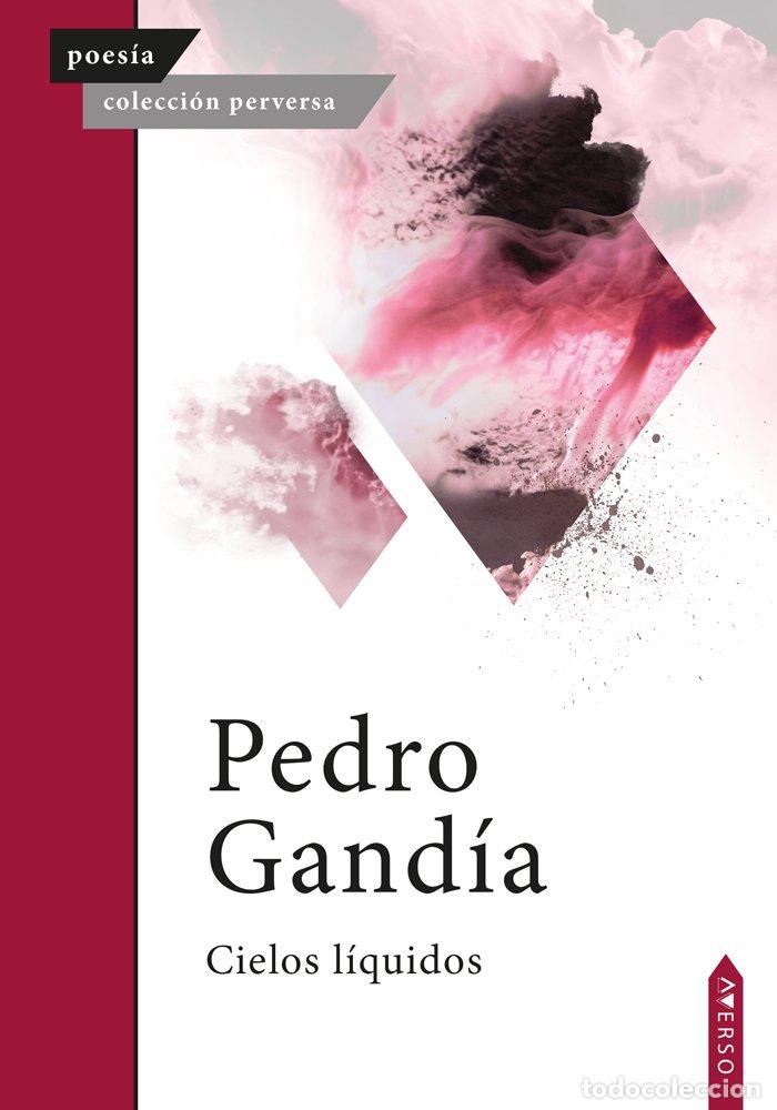 Libros: CIELOS LIQUIDOS - GANDIA, PEDRO