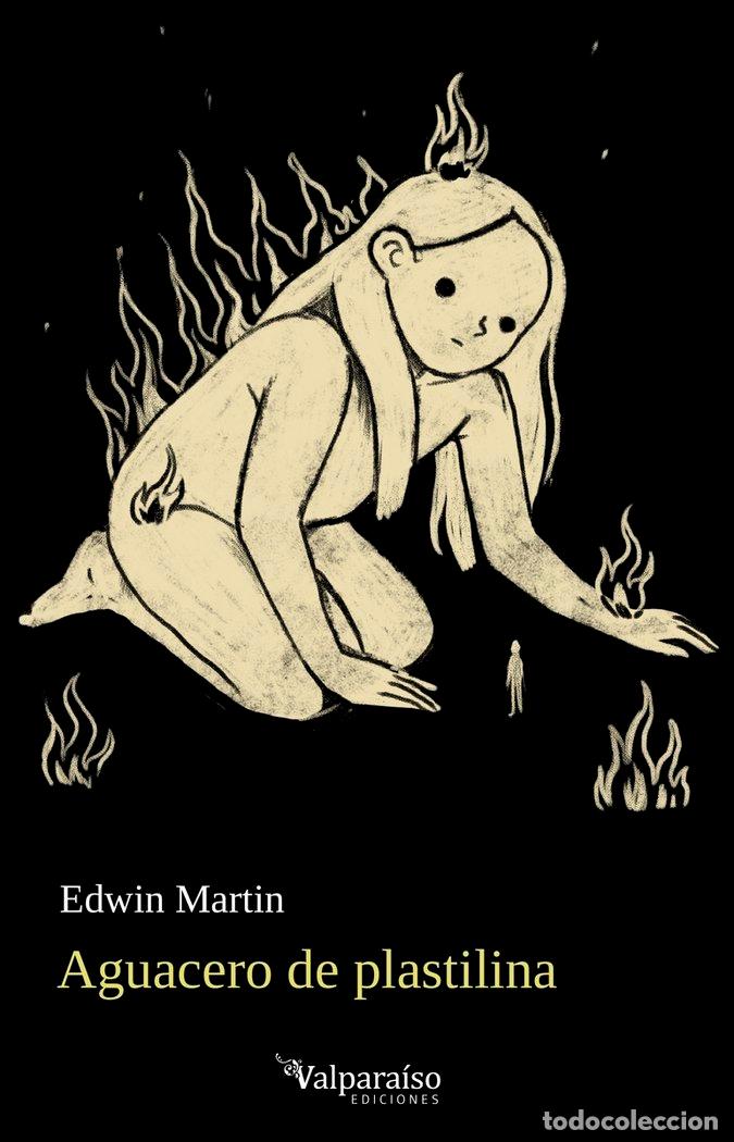 Libros: AGUACERO DE PLASTILINA - MARTIN, EDWIN