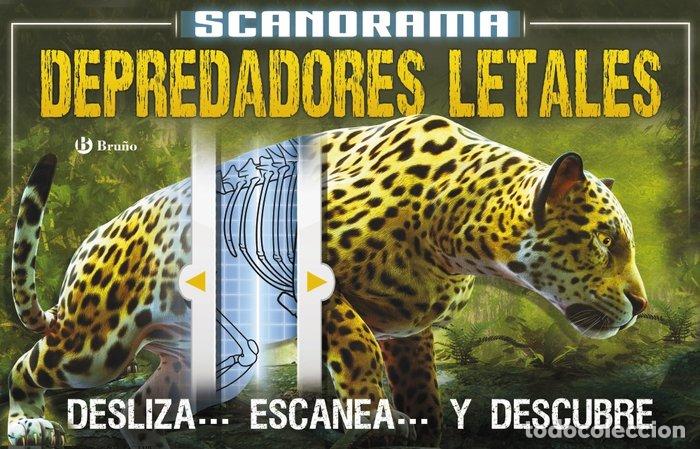 Libros: SCANORAMA DEPREDADORES - CLAYBOURNE, ANNA