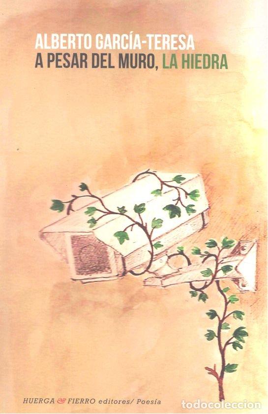 Libros: A PESAR DEL MURO LA HIEDRA - GARCIA TERESA, ALBERTO