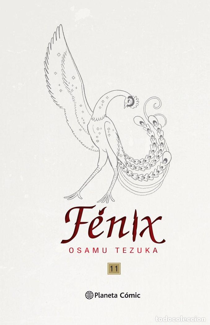 books: FENIX 11 NUEVA EDICION - TEZUKA, OSAMU