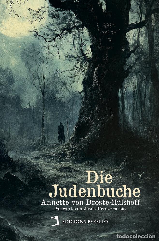 Libros: DIE JUDENBUCHE - VON DROSTE-H&Uuml;LSHOFF, ANNETTE