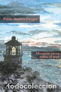 Libri: MIENTRAS NIEVA SOBRE EL MAR - ANDRES ESCAPA, PABLO