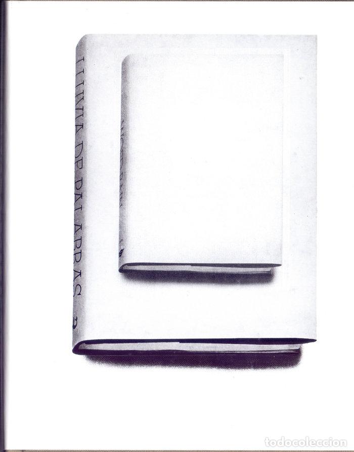 Libri: LLUVIA DE PALABRAS O UNA INTRODUCCION DISCURSIVA A LAS IN - GINS MADELINE