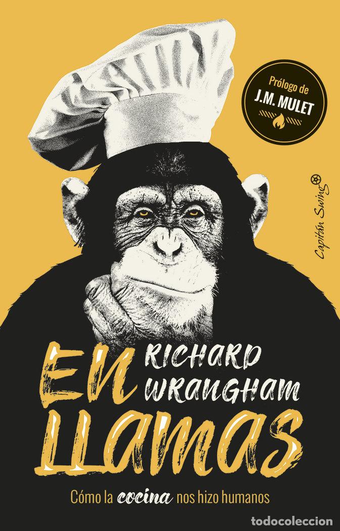 books: EN LLAMAS COMO LA COCINA NOS HIZO HUMANOS - WRANGHAM, RICHARD