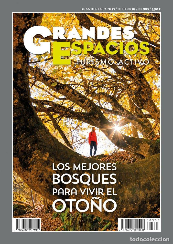 books: LOS MEJORES BOSQUES PARA VIVIR EL OTO&Ntilde;O - VARIOS AUTORES