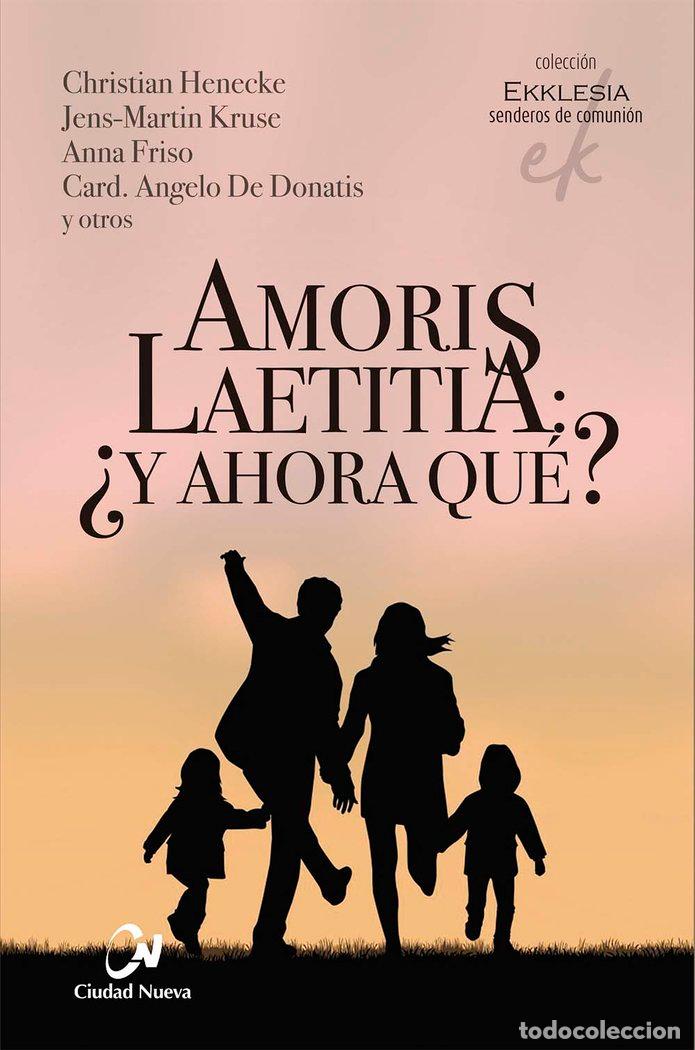 Livres: AMORIS LAETITIA Y AHORA QUE - HENECKE, CHRISTIAN