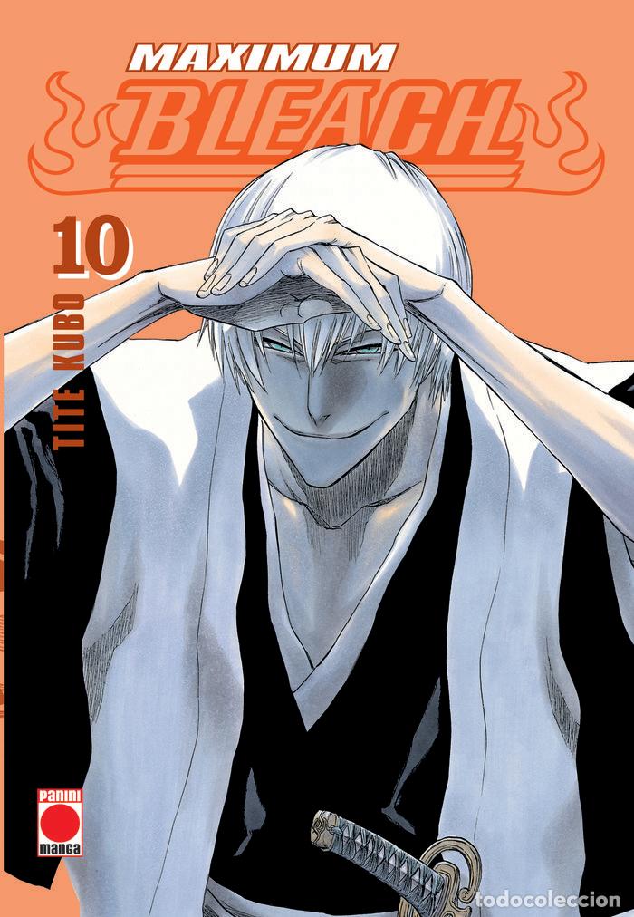 Livres: MAXIMUM BLEACH 10 - TITE KUBO