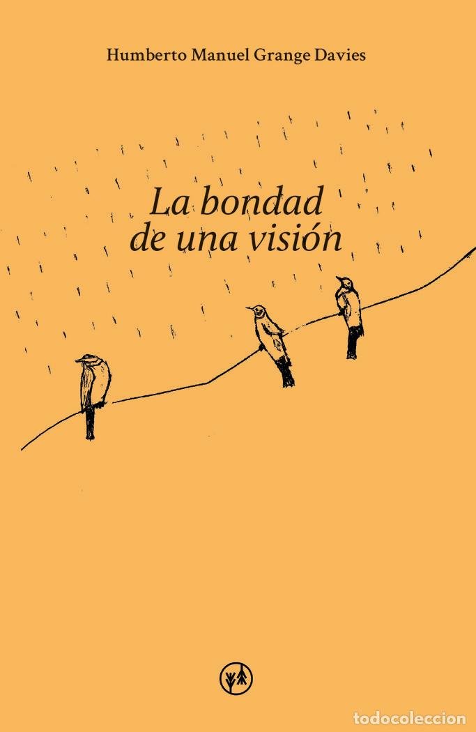 Libros: LA BONDAD DE UNA VISION - GRANGE DAVIES, HUMBERTO MANUEL