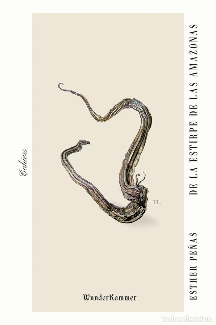 B&uuml;cher: DE LA ESTIRPE DE LAS AMAZONAS - PE&Ntilde;AS DOMINGO, ESTHER