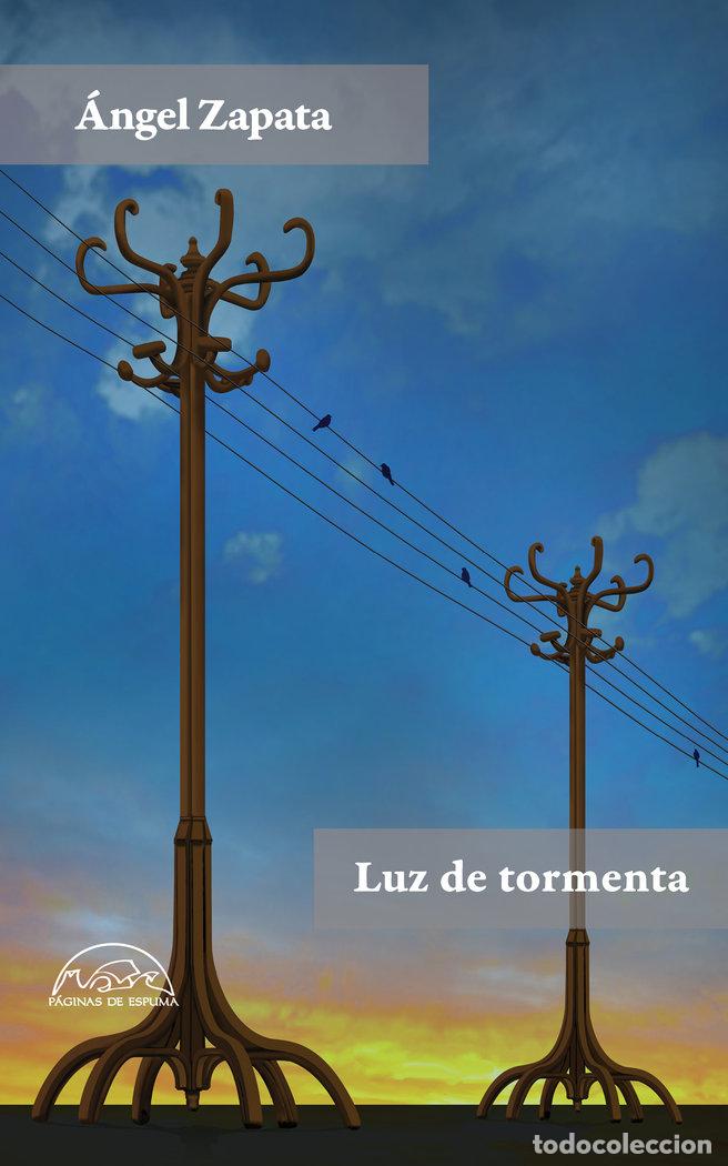 Libros: LUZ DE TORMENTA - ZAPATA, ANGEL