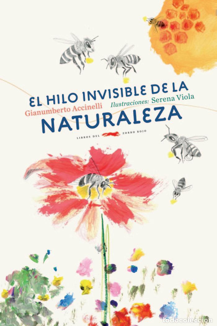 Libri: HILO INVISIBLE DE LA NATURALEZA, EL - ACCINELLI, GIANUMBERTO