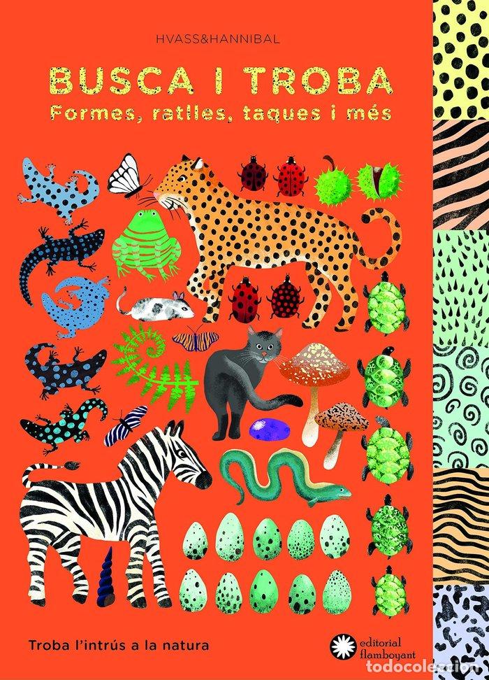 Libros: BUSCA I TROBA FORMES, RATLLES, TAQUES I MES - AA.VV.