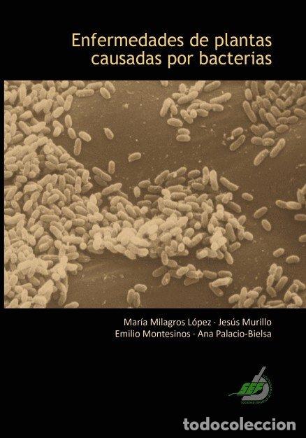 books: ENFERMEDADES DE PLANTAS CAUSADAS POR BACTERIAS - PALACIO-BIELSA, ANA