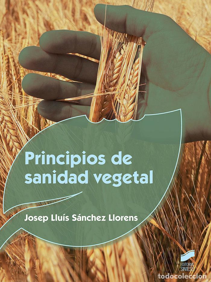 Libros: PRINCIPIOS SANIDAD VEGETAL - SANCHEZ LLORENS, JOSEP LLUIS