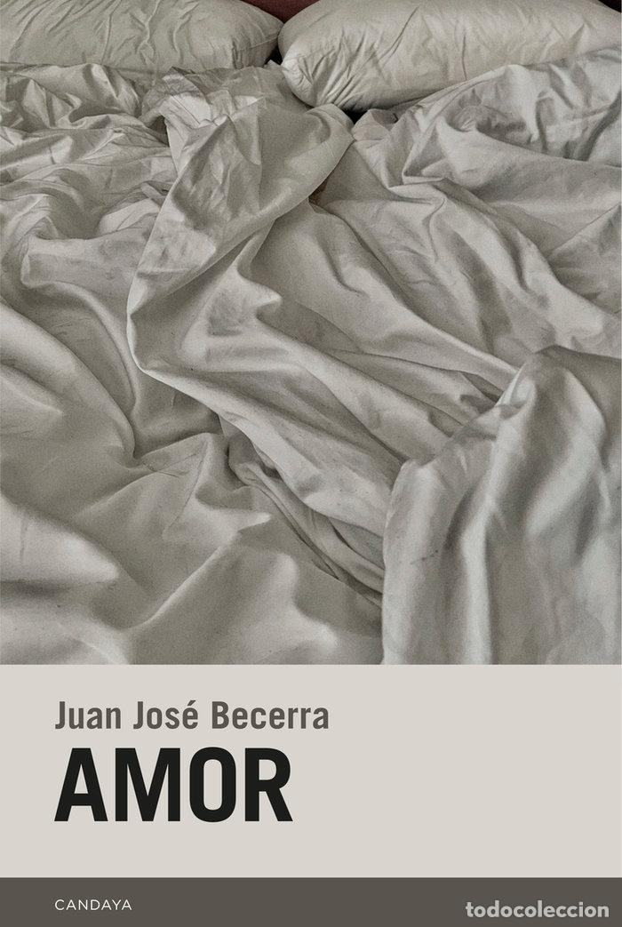 Libros: AMOR - BECERRA, JUAN JOSE