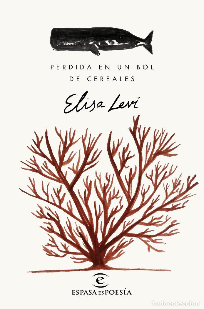 Livros: PERDIDA EN UN BOL DE CEREALES - LEVI, ELISA