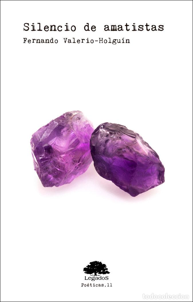 Libros: SILENCIO DE AMATISTAS - VALERIO HOLGUIN, FERNANDO