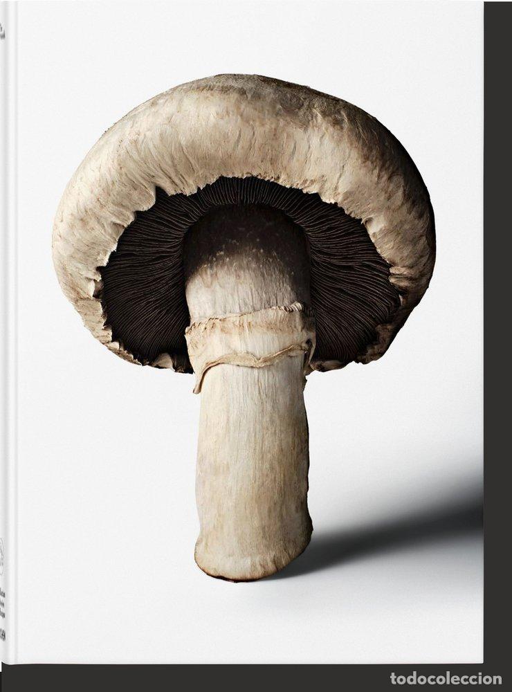 Libros: THE GOURMAND'S MUSHROOM A COLLECTION OF STORIES & RECIPES - .