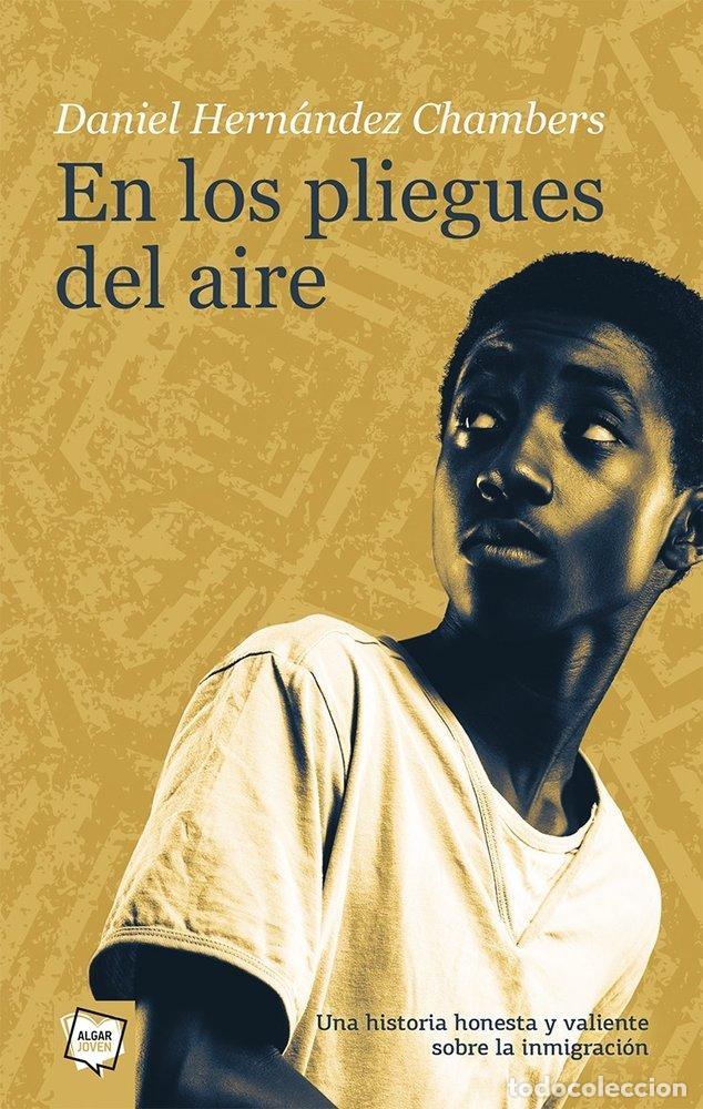 Livros: EN LOS PLIEGUES DEL AIRE - HERNANDEZ CHAMBERS, DANIEL