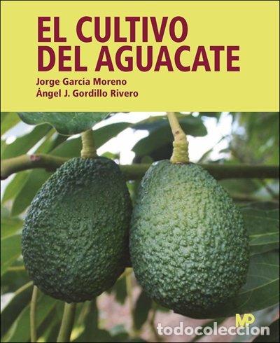 Libri: EL CULTIVO DEL AGUACATE - GORDILLO RIVERO, ANGEL JESUS
