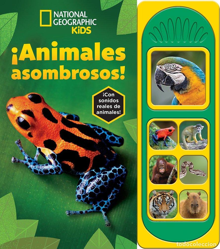 Libri: ANIMALES ASOMBROSOS NATIONAL GEOGRAPHIC KIDS - NATIONAL GEOGRAPHIC