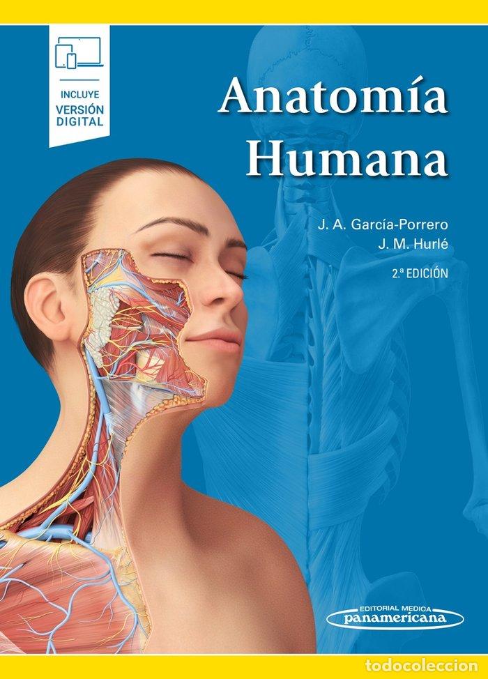 Livres: ANATOMIA HUMANA - AA.VV