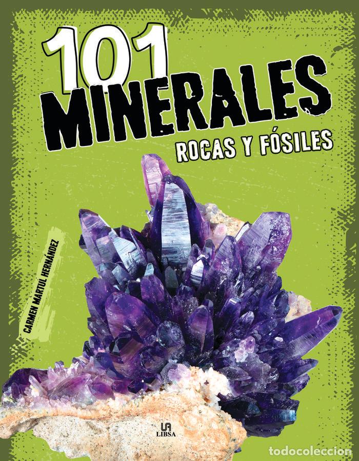 B&uuml;cher: 101 MINERALES ROCAS Y FOSILES - MARTUL HERNANDEZ, CARMEN