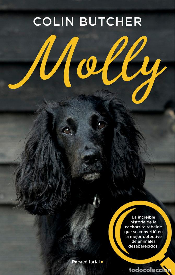 Livros: MOLLY - BUTCHER, COLLIN