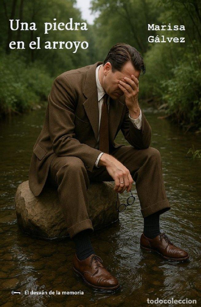 books: UNA PIEDRA EN EL ARROYO - GALVEZ, MARISA