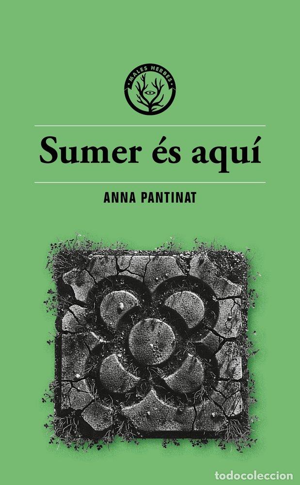 Libri: SUMER ES AQUI - ANNA PANTINAT