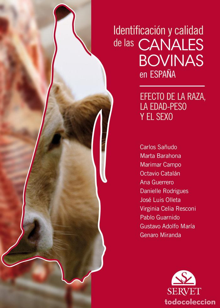 Libros: IDENTIFICACION Y CALIDAD DE LAS CANALES BOVINAS EN ESPA&Ntilde;A. - SA&Ntilde;UDO ASTIZ, CARLOS
