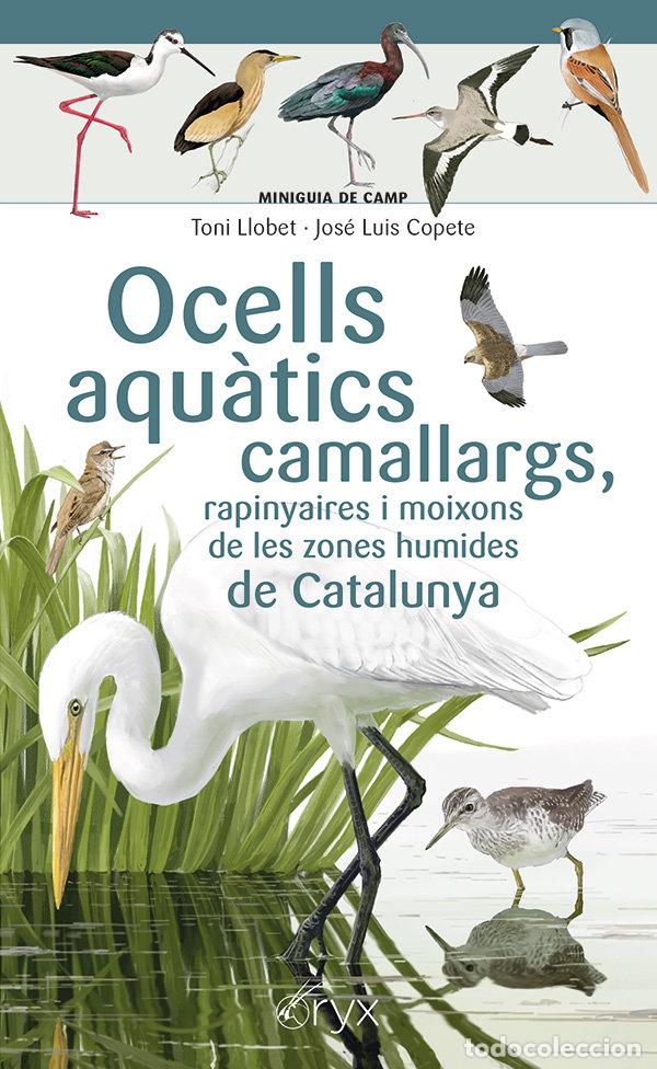 Livres: OCELLS AQUATICS CAMALLARGS RAPINYAIRES I MOIXONS DE LES ZO - COPETE, JOSE LUIS