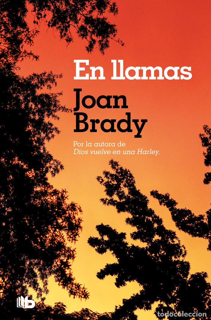 Libros: EN LLAMAS ZB - BRADY, JOAN