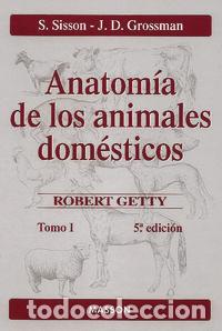 Libros: ANATOMIA DE LOS ANIMALES DOMESTICOS. TOMO I - .