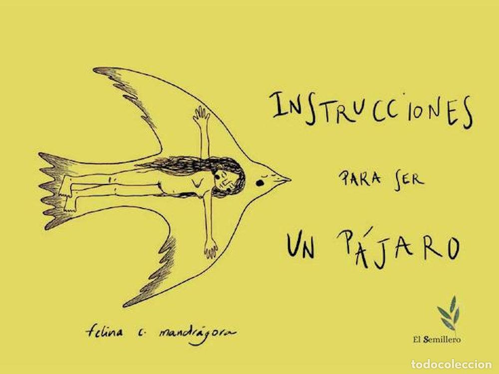 Livros: INSTRUCCIONES PARA SER UN PAJARO - CERON, SARA