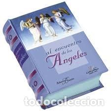 Libri: AL ENCUENTRO DE LOS ANGELES - AA.VV