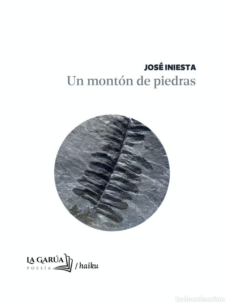 books: UN MONTON DE PIEDRAS - INIESTA MAESTRO, JOSE