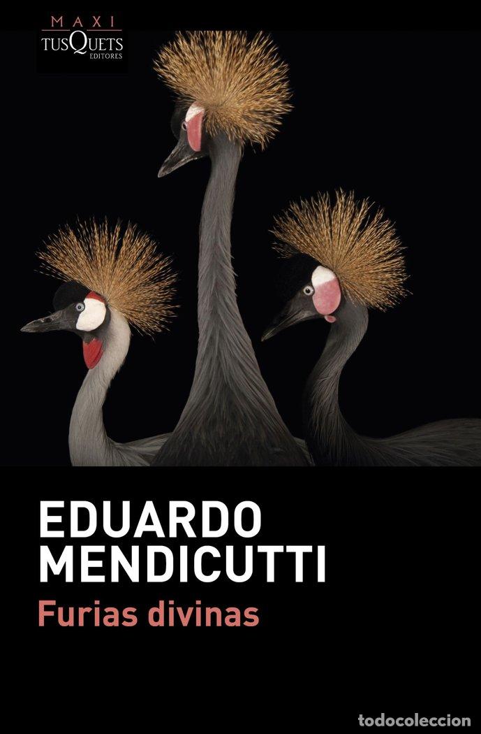 books: FURIAS DIVINAS - MENDICUTTI, EDUARDO