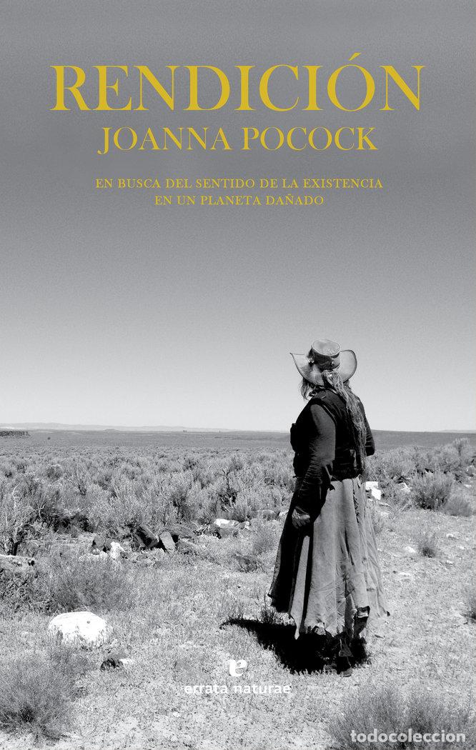 books: RENDICION - POCOCK, JOANNA