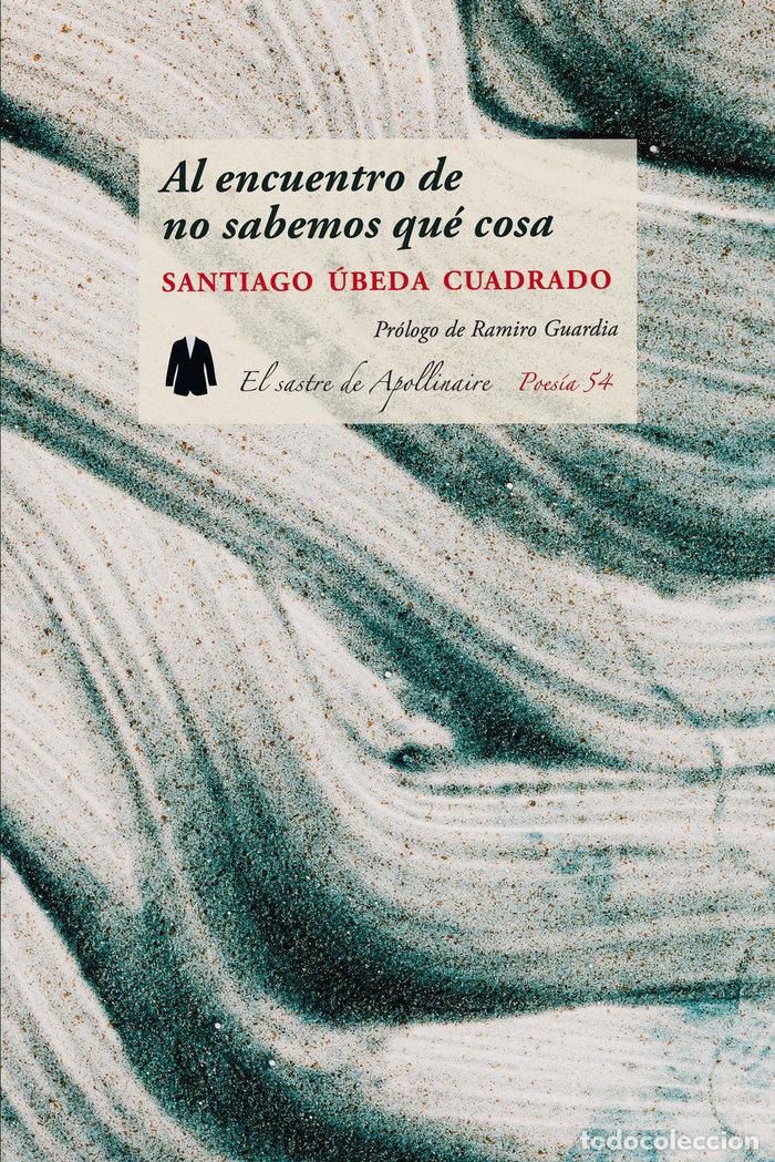B&uuml;cher: AL ENCUENTRO DE NO SABEMOS QUE COSA - &Uacute;BEDA CUADRADO, SANTIAGO