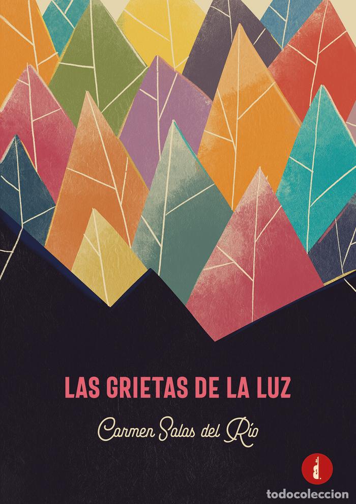 books: LAS GRIETAS DE LA LUZ - SALAS DEL RIO, CARMEN