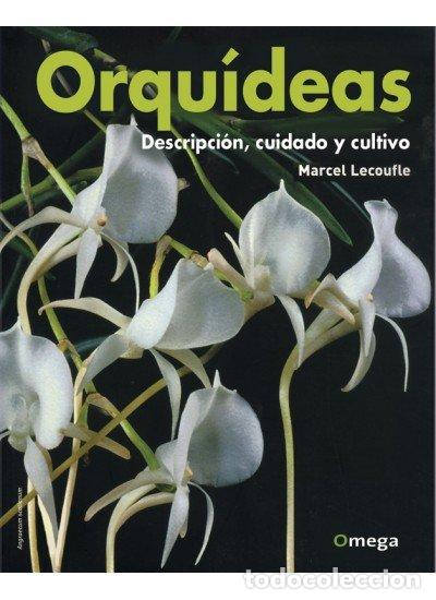 Libros: ORQUIDEAS - LECOUFLE, MARCEL