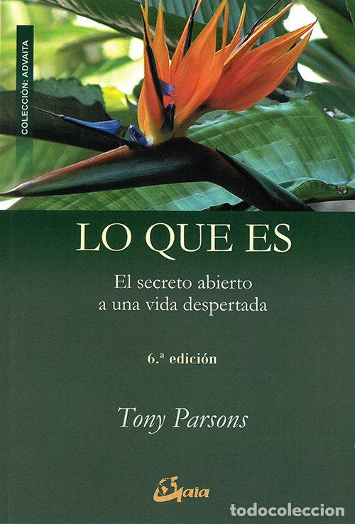 Livros: LO QUE ES - PARSONS, TONY