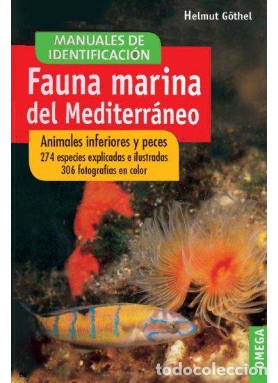 Livres: FAUNA MARINA DEL MEDITERRANEO - GOTHEL, HELMUT