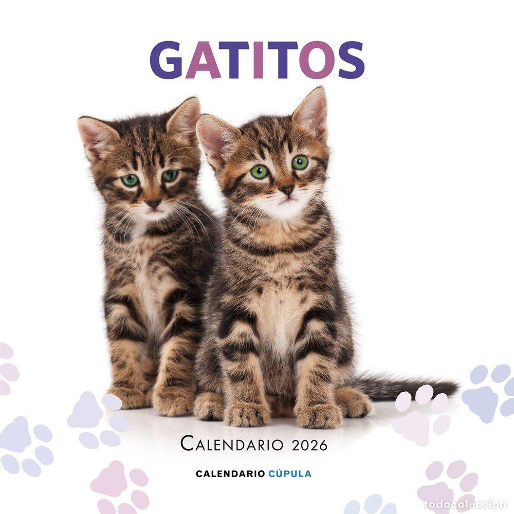 Livres: CALENDARIO GATITOS 2026 - AA.VV